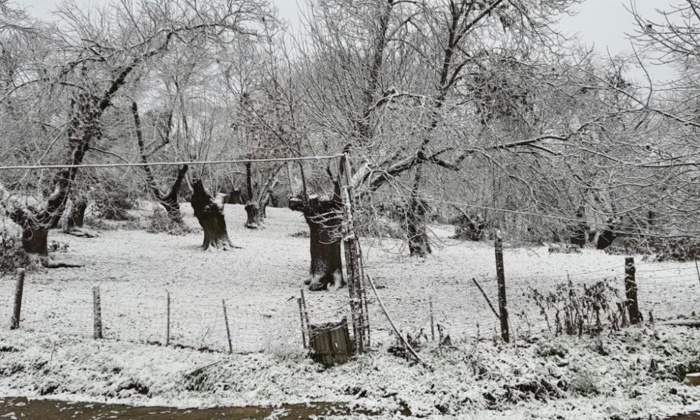 nieve aracena 2