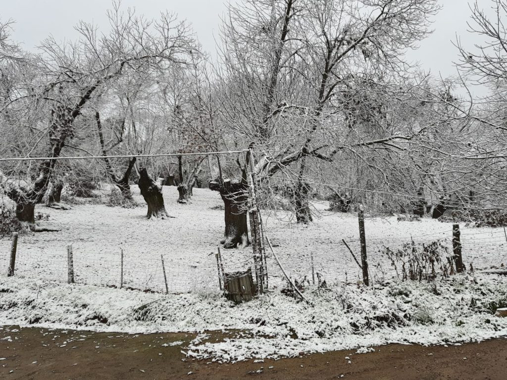 nieve aracena 2
