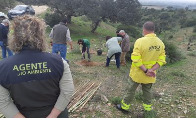 Plantación simbólica de especies autóctonas en Sevilla para conmemorar el 28F