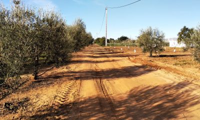 Aprobadas subvenciones de más de un millón de euros para el arreglo de caminos rurales en la Campiña sevillana