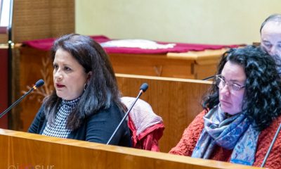PSOE de Arahal: "Hemos recibido ignorancia, desigualdad de trato y menosprecio de Equipo de Gobierno de IU"