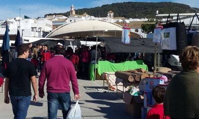 Decretado el cierre perimetral en seis municipios de la provincia de Sevilla