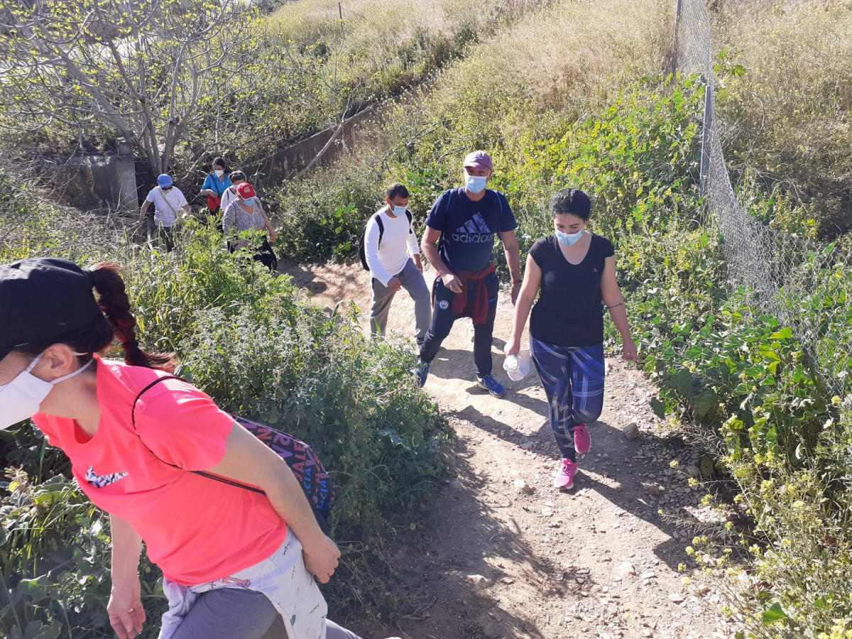 Paradas, refugio de una especie vegetal casi inédita en España