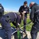 Agentes de la Policía Local de Arahal rescatan una oveja caída en un imbornal de un polígono industrial