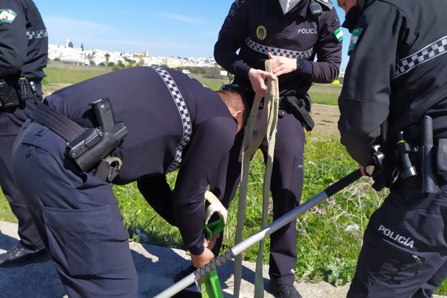 Agentes de la Policía Local de Arahal rescatan una oveja caída en un imbornal de un polígono industrial