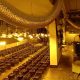 La Guardia Civil de Marchena localiza 850 plantas de marihuana en una sala de fiestas cerrada por la pandemia