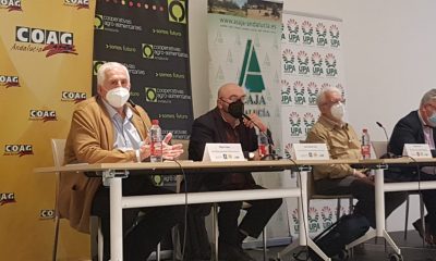 El sector agrario andaluz inicia período indefinido de movilizaciones en contra de la convergencia "brusca" de la PAC