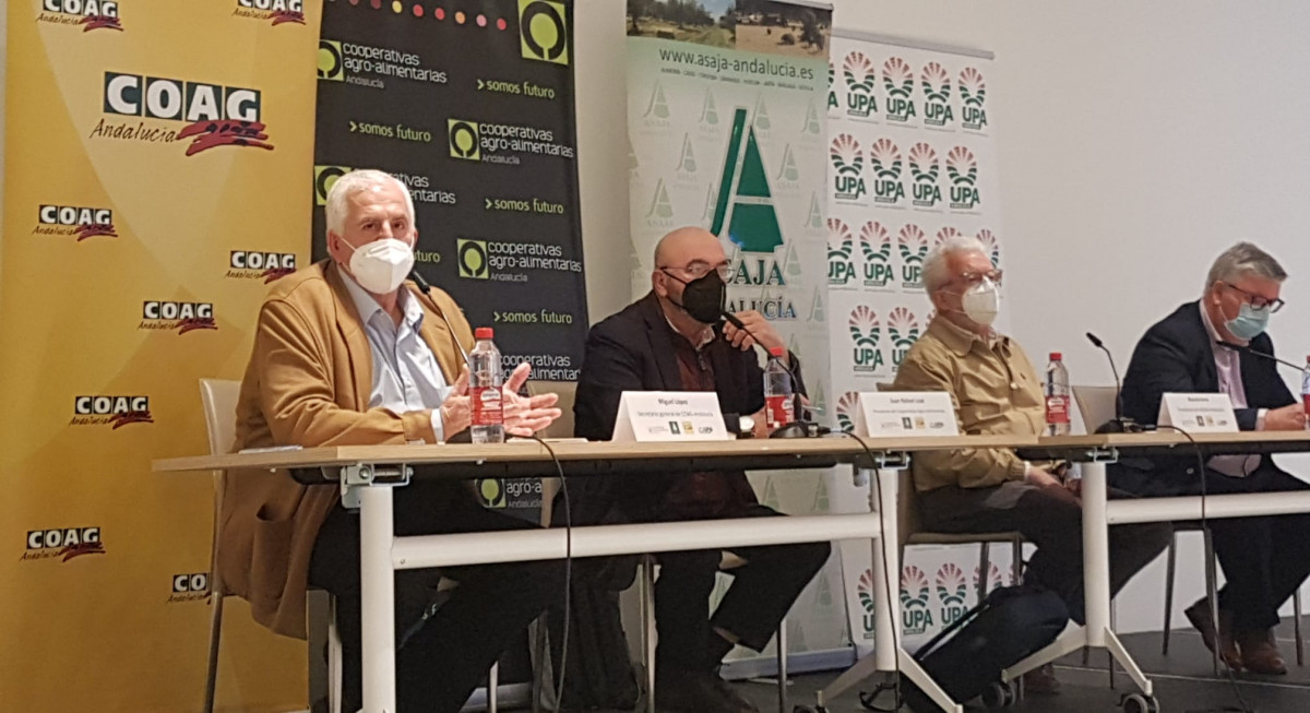 El sector agrario andaluz inicia período indefinido de movilizaciones en contra de la convergencia "brusca" de la PAC