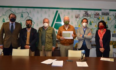 Asaja Andalucía y la Plataforma del Toro Bravo demandan el apoyo de la Junta para salvar las explotaciones de lidia