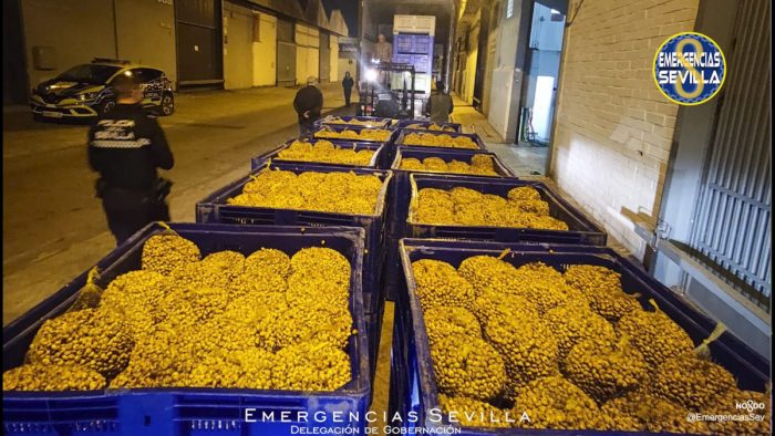 La Policía interviene en Sevilla 220 kilos de caracoles en mal estado destinados a venta ilegal