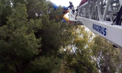 Rescatan a un parapentista atrapado en un árbol