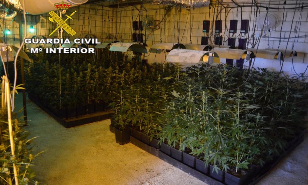 Detienen en La Rinconada a cinco personas por venta de droga y una plantación de marihuana