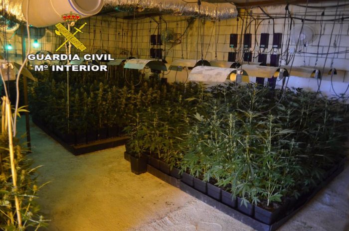 Detienen en La Rinconada a cinco personas por venta de droga y una plantación de marihuana