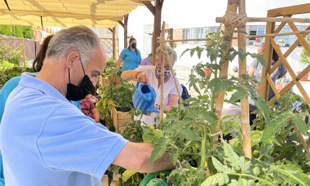 Un huerto ecológico convertido en terapia