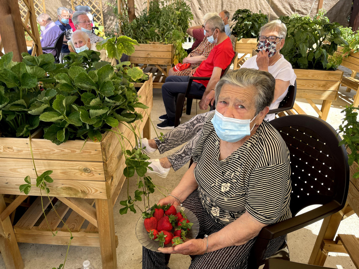 Un huerto ecológico convertido en terapia