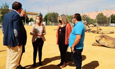 Alcalá de Guadaíra inicia la renovación del césped artificial del campo de fútbol de Malasmañanas