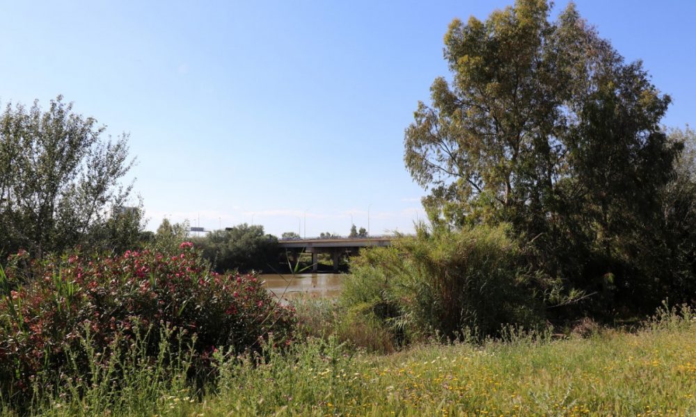El Real Betis anima a los aficionados andaluces a limpiar el Guadalquivir