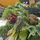 El Mercado Agroecológico de Bormujos incorpora charlas y talleres sobre alimentación