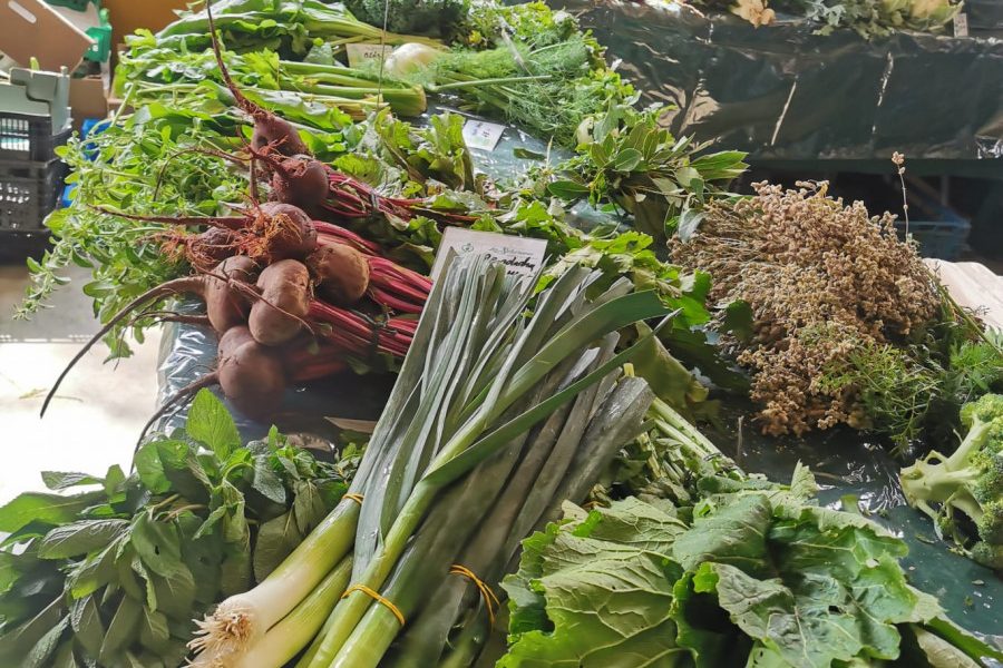 El Mercado Agroecológico de Bormujos incorpora charlas y talleres sobre alimentación