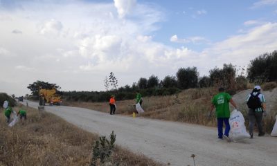 Unos 30 voluntarios recogen 50 sacos de “basuraleza” de las veredas de Arahal