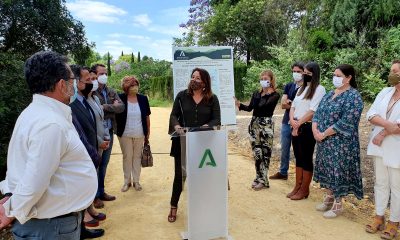 Se trata de 85 kilómetros de vías pecuarias que permite a los ciudadanos trasladarse desde Santiponce hasta el municipio de Los Palacios.