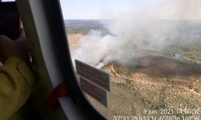 Estabilizado el incendio de Aznalcóllar