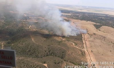 Declarado un incendio forestal en un paraje de Aznalcóllar