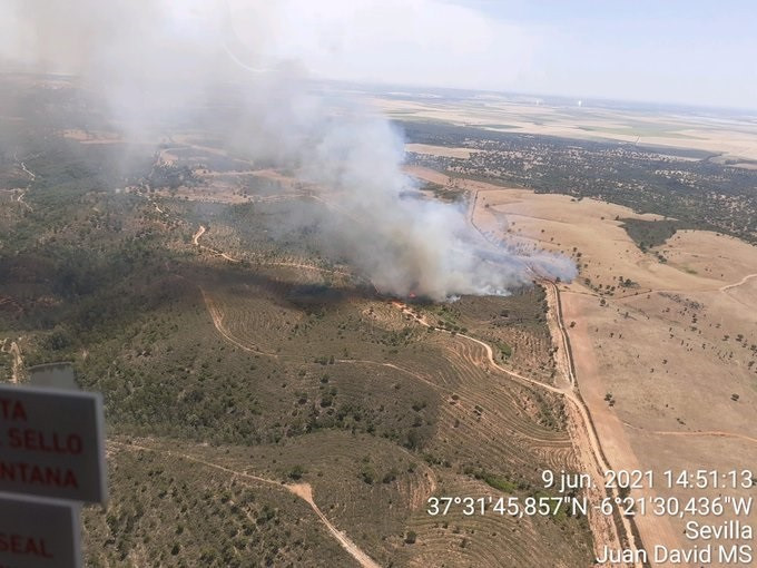 Declarado un incendio forestal en un paraje de Aznalcóllar