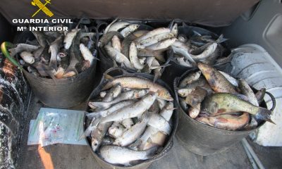 Dos hombres, sorprendidos en Alcalá del Río pescando sin autorización con destino al consumo humano