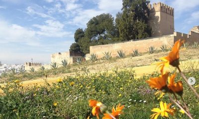 Mairena del Alcor, municipio menos endeudado y con menor renta per cápita de Los Alcores