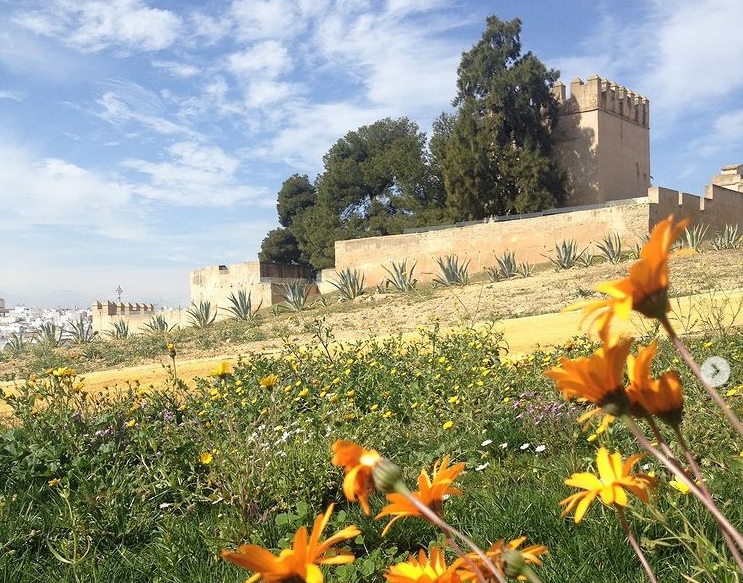 Mairena del Alcor, municipio menos endeudado y con menor renta per cápita de Los Alcores