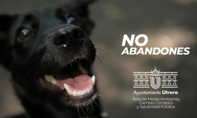 Utrera fomenta la adopción de animales de compañía abandonados