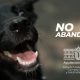 Utrera fomenta la adopción de animales de compañía abandonados