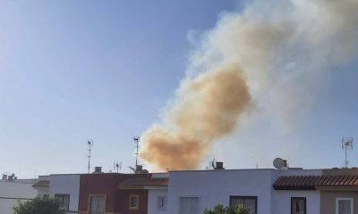 El Infoca da por estabilizado el incendio forestal declarado en un paraje de Gerena