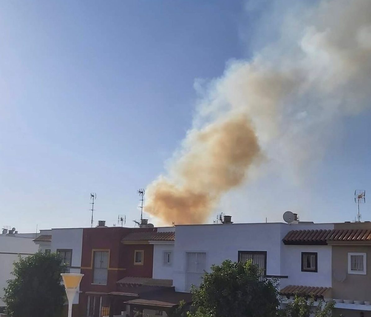 El Infoca da por estabilizado el incendio forestal declarado en un paraje de Gerena