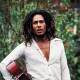 ¿Por qué Bob Marley es el símbolo de la cultura cannábica?