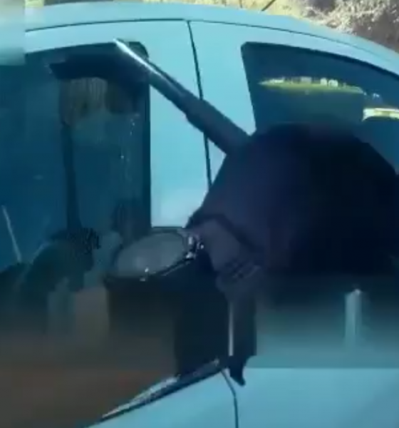 Rescatan a tiempo a un bebé, encerrado en un coche a pleno sol