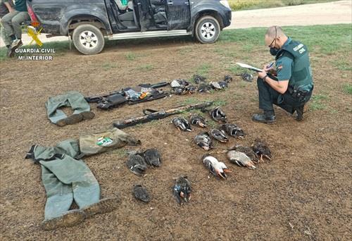 Tres investigados por cazar patos de manera furtiva en Los Palacios
