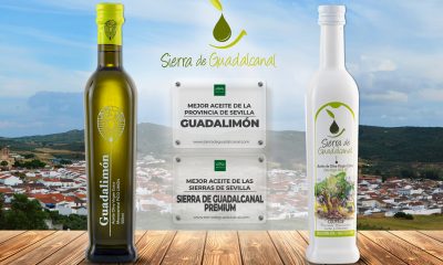 El premio al Mejor Aceite de Oliva Virgen Extra de la Provincia se va para Guadalcanal