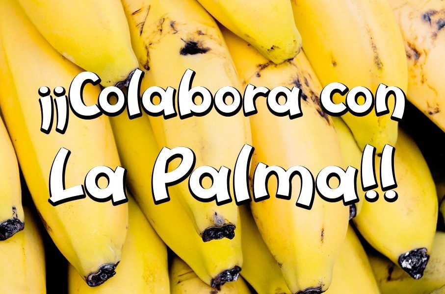 palma ayuda arahal