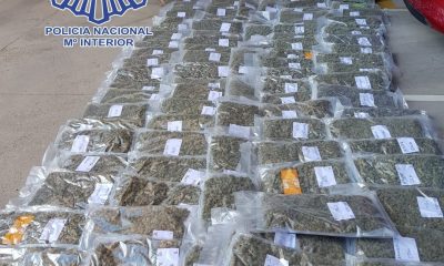 Detenidos acusados de transportar 170 kilos de marihuana en camiones