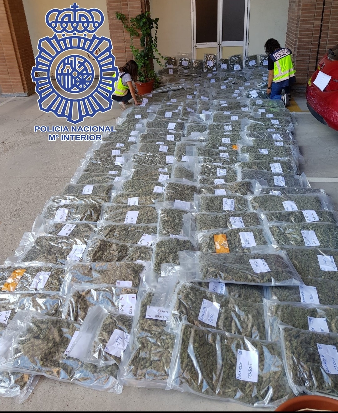 Detenidos acusados de transportar 170 kilos de marihuana en camiones