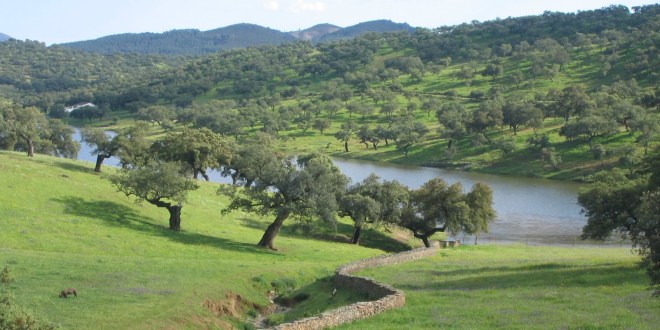 Condenados por abatir a seis ciervos y dos gamos en el Parque Natural Sierra de Aracena