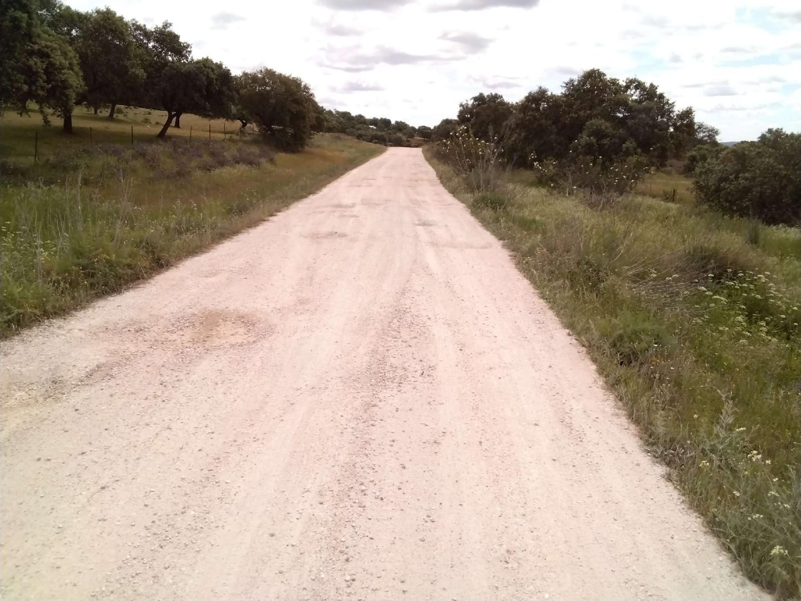 La Junta invertirá casi 1,5 millones en los caminos forestales de la provincia de Sevilla