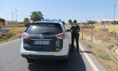 Dos varones detenidos en Pozoblanco acusados de robar once lechones ibéricos