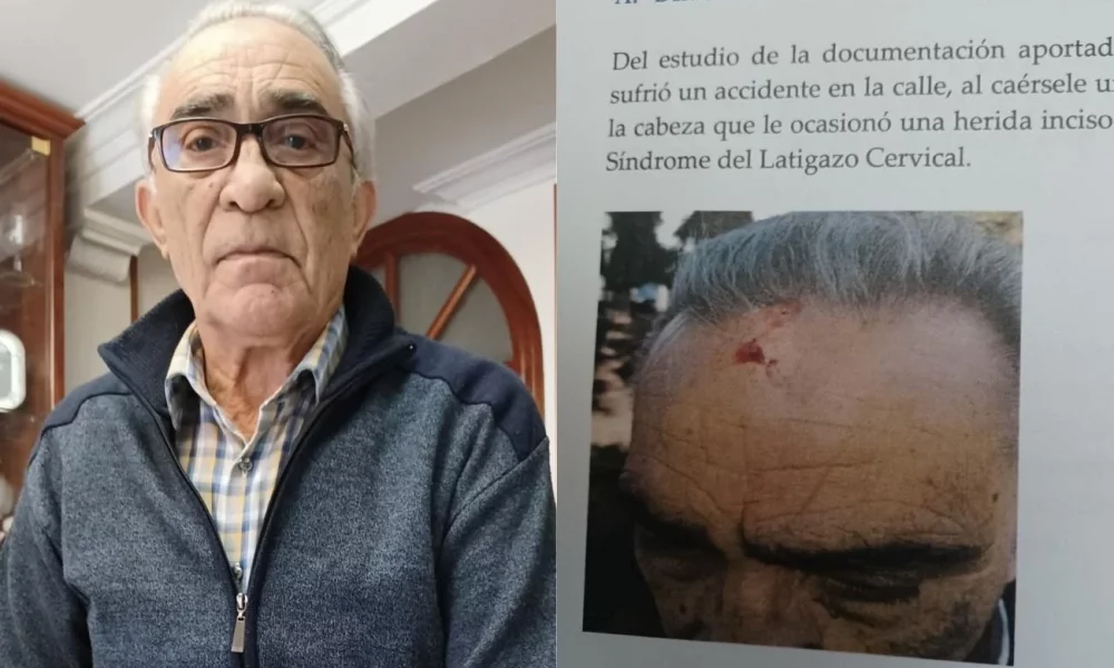 El Ayuntamiento de Sevilla, condenado a pagar 6.500 euros a un socio de FACUA por caerle un árbol