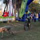 Alcalá acoge la Copa de España de Mushing, donde personas y perros forman equipo