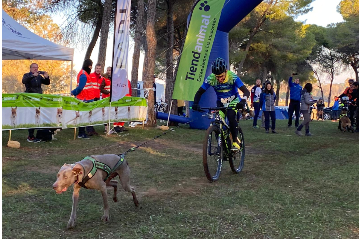 Alcalá acoge la Copa de España de Mushing, donde personas y perros forman equipo