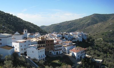 Fallece al caer su turismo por un barranco en Sayalonga (Málaga)