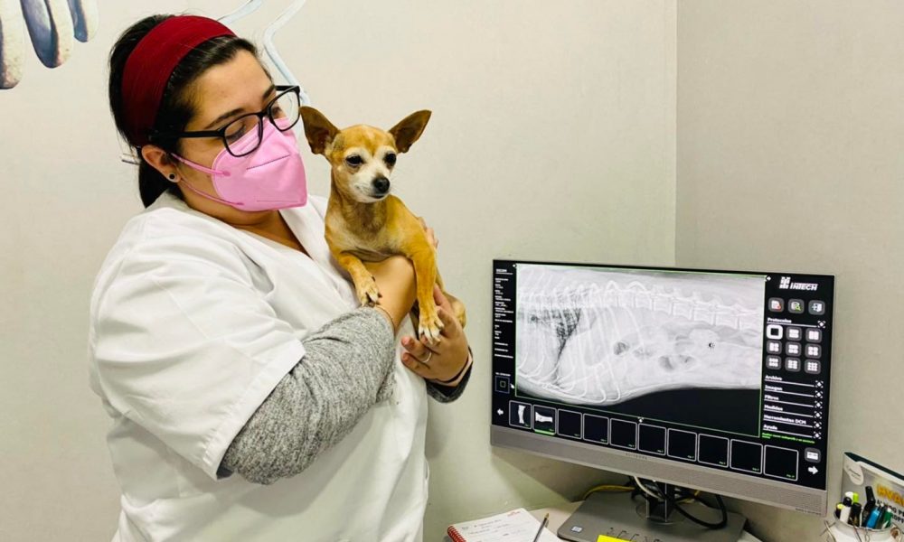 Advierten de la existencia de salchichas con clavos en plazas de Gibraleón